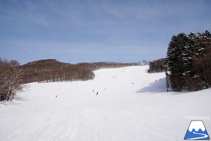 札幌藻岩山スキー場 『青空』が最高に似合うゲレンデ☆